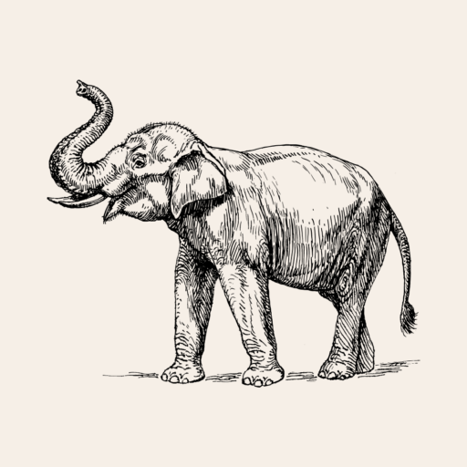 https://thegodinthewhitecity.com/wp-content/uploads/2023/02/cropped-Elephant-only.png